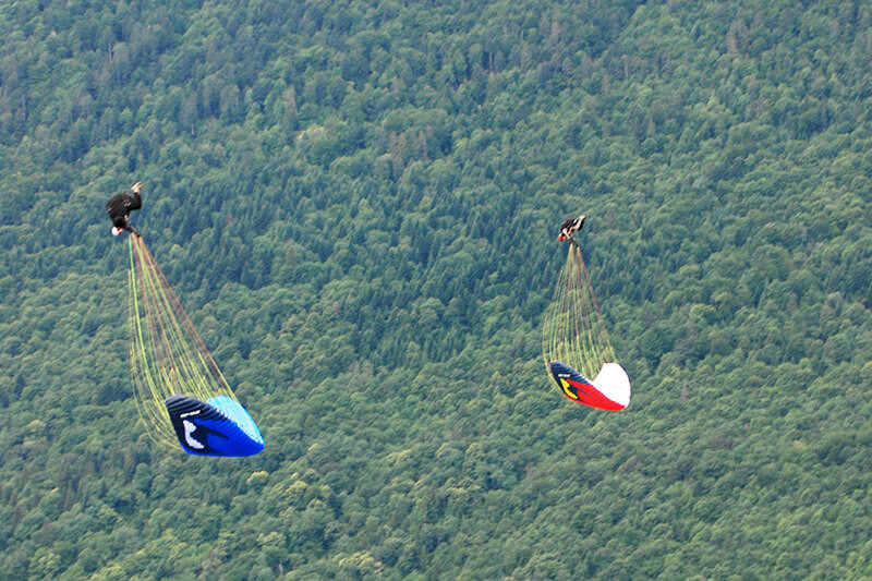 Baptême Parapente Biplace Acrobatique Millau ≈ 25 min