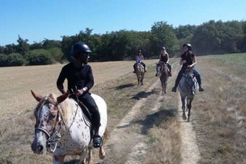 Balades à cheval niveau confirmé