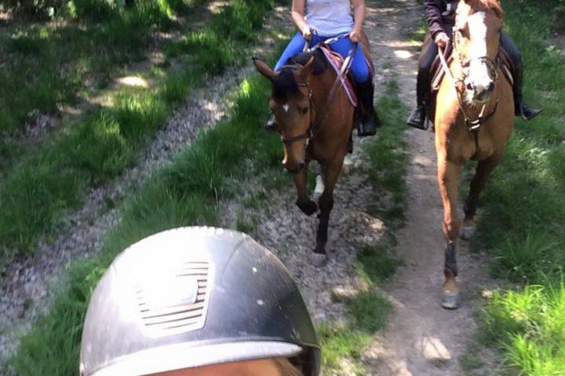 Balades à cheval privée