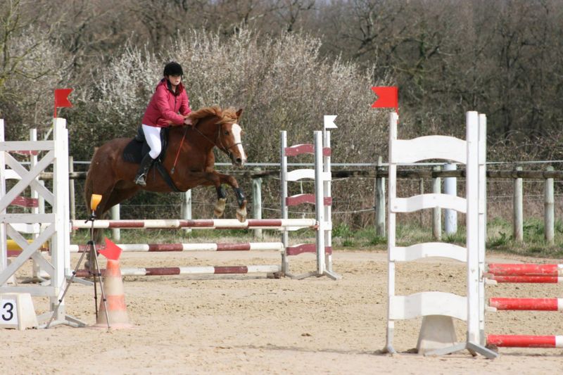 Concours de CSO Vacquiers