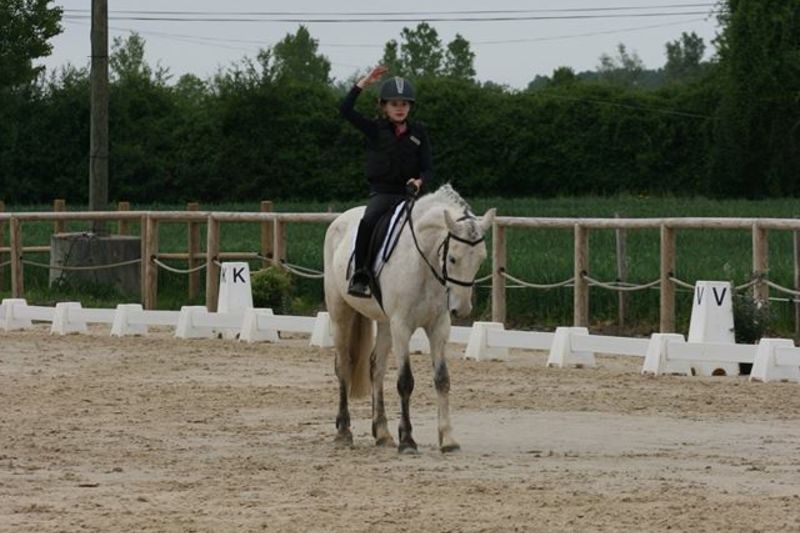 Concours de dressage St Thomas