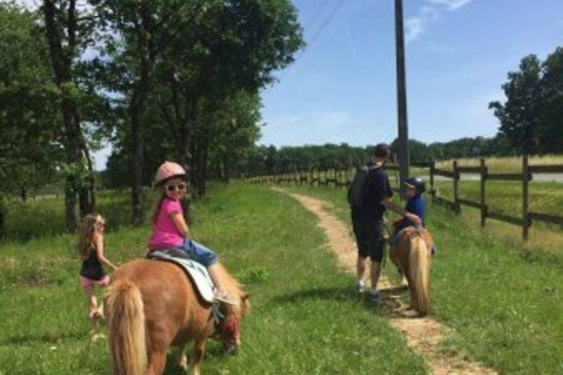Initiation poney 18 mois & 10 ans