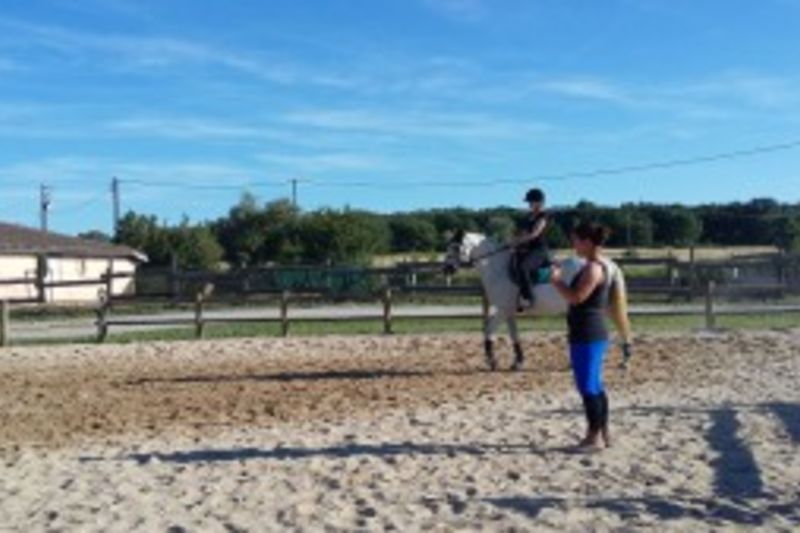 Pack découverte d'équitation