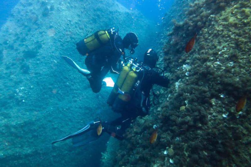 exploration niveau 1/ open water/ pe20