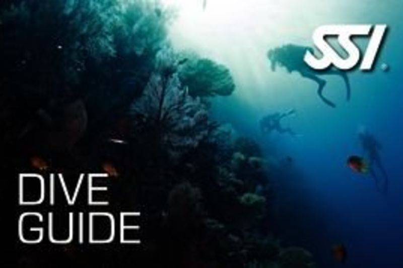 Dive guide
