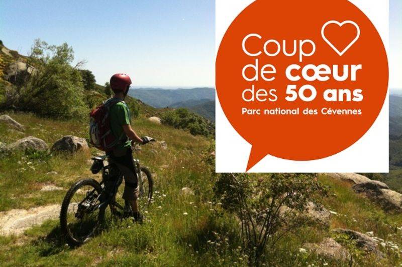 Balade gourmande à VTT électrique en Cévennes