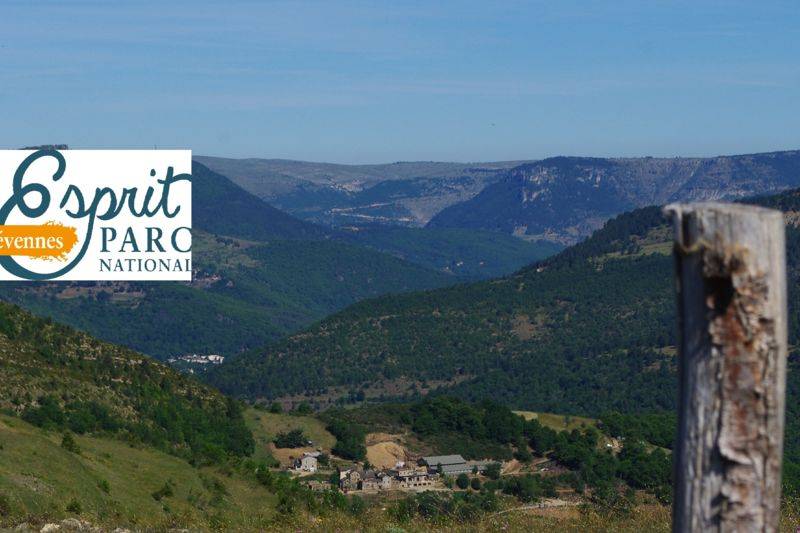 Entre Causses et Cévennes