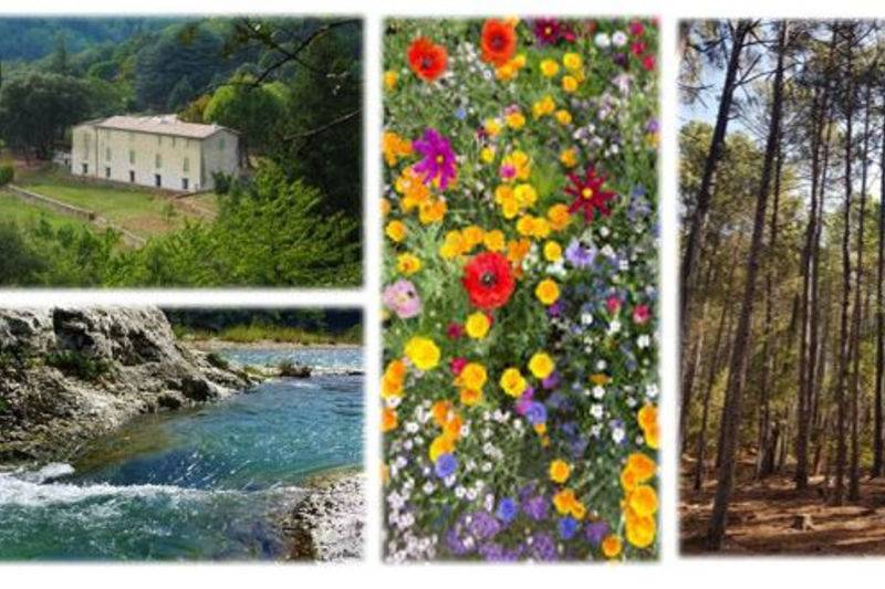 Les jardins de Falguiere
