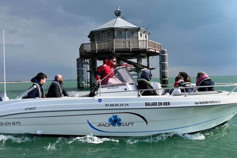 Balade en mer 2h au départ de la Flotte