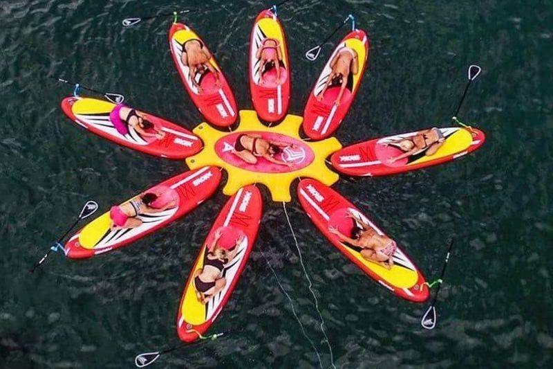 Fitness paddle