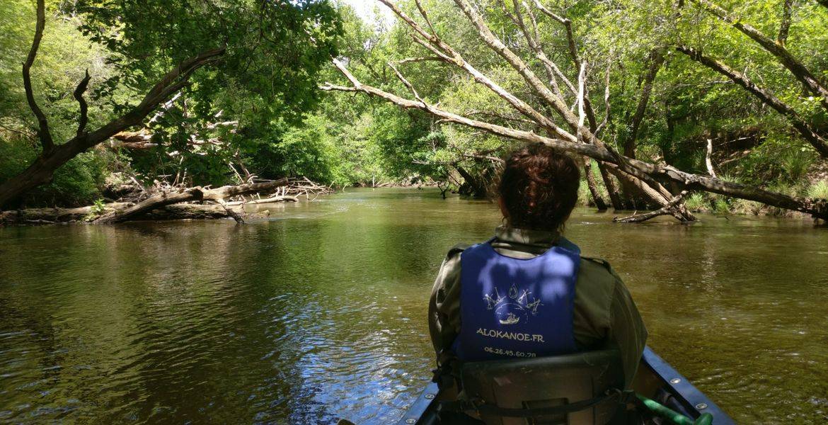 Descente de 24 km en grande journée en canoë sur la Leyre