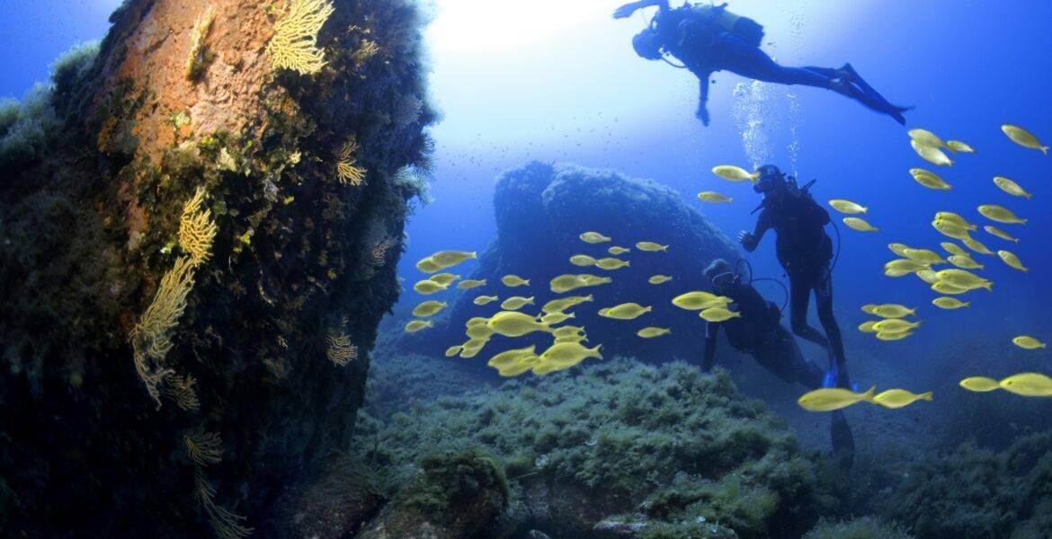 Plongée d'exploration - plongeur encadré sans location d'équipements