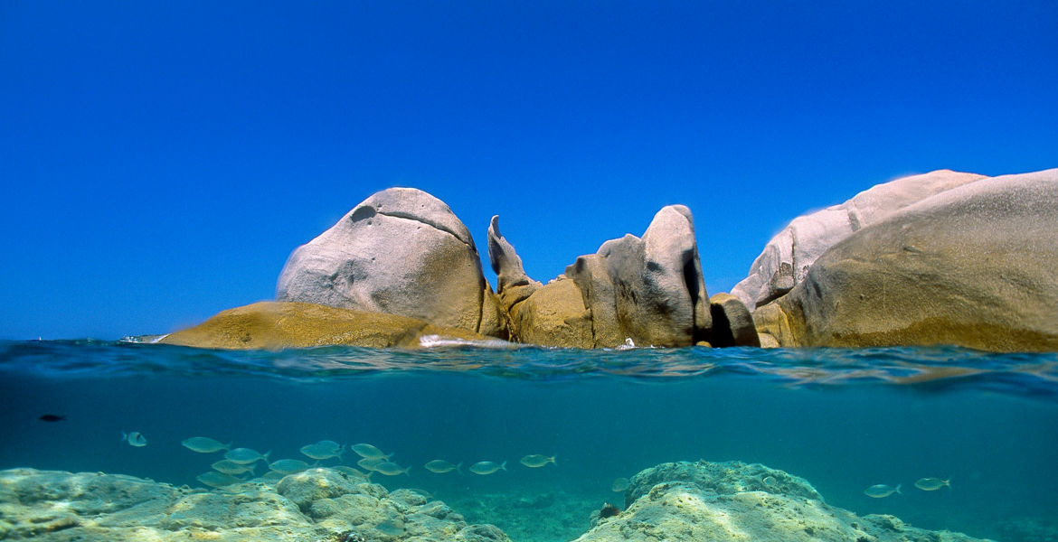 Snorkeling et littoral de Balagne