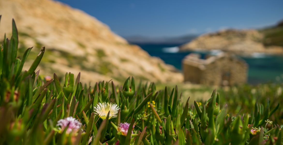 Campings en Corse