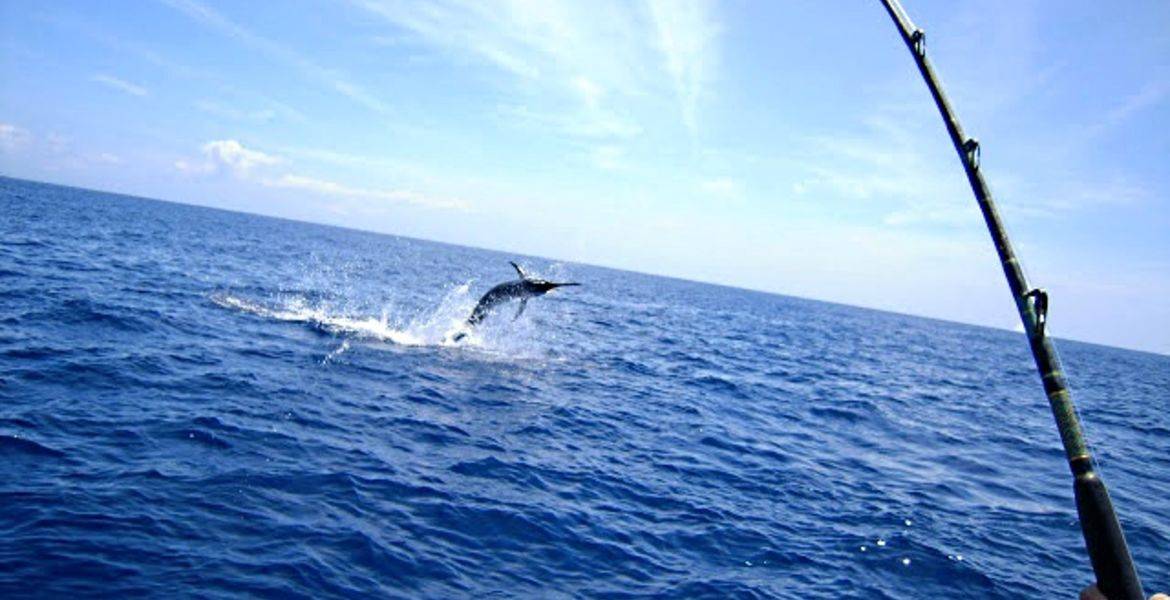 Pêche en haute mer au large de cap camarat, Antibes, Nice