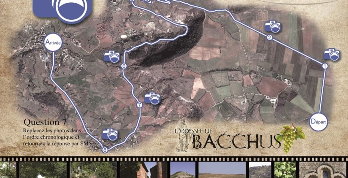 Odyssée de Bacchus
