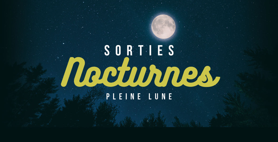 Balades Sorties Nocturnes en Canoë
