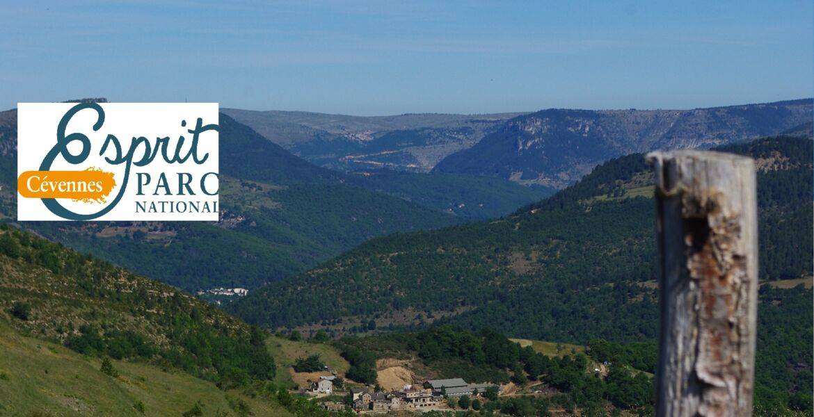 Entre Causses et Cévennes