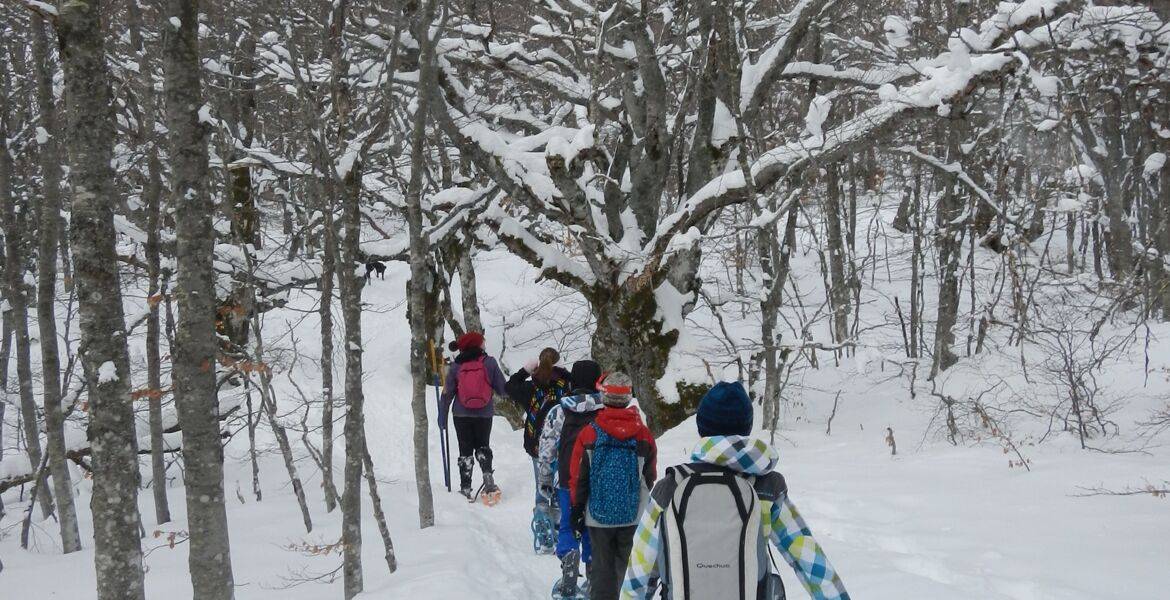 Randonnée en raquette à neige