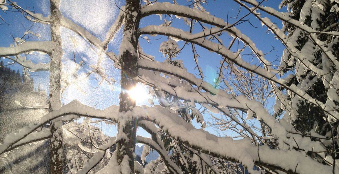 Randonnée en raquette à neige