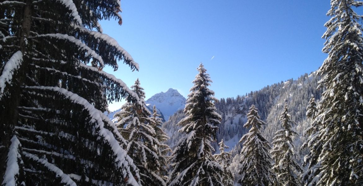 Ski Hors Piste / Ski de rando