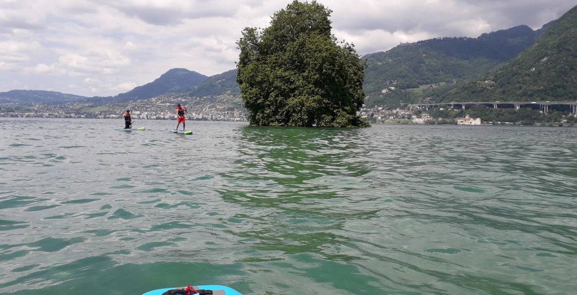 Excursions Stand Up Paddle