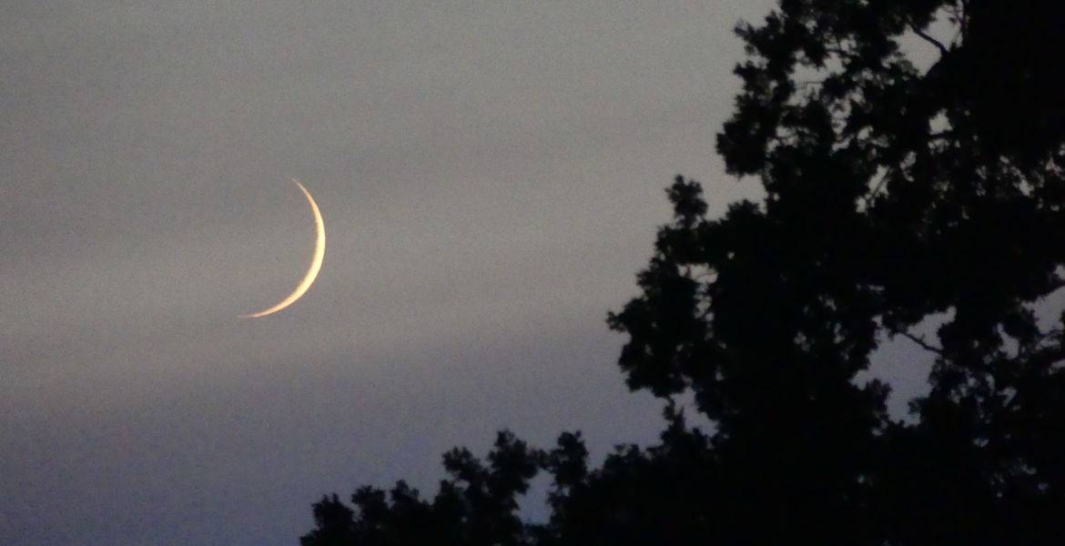 Sunset kayak tour and astronomy in the Bassin d'Arcachon
