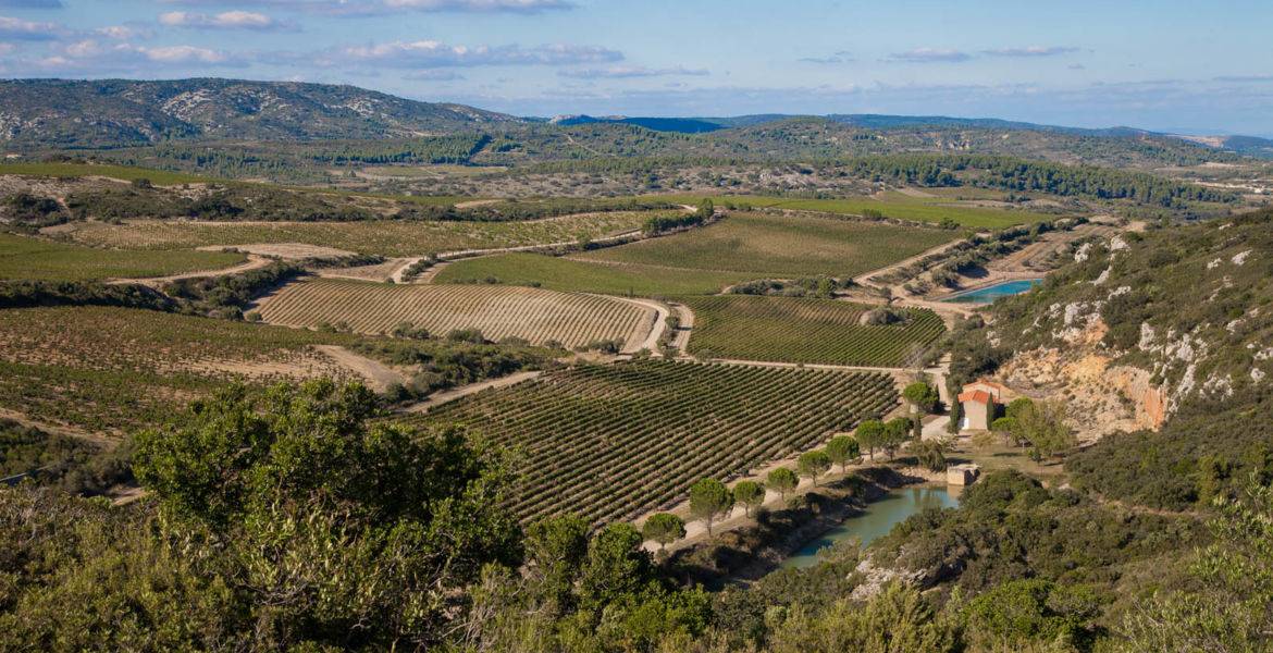 Château De LASTOURS, Balade Vignoble et Dégustation, les Mardis matin