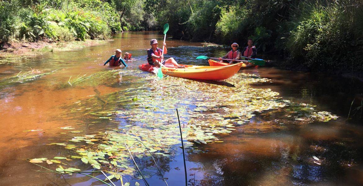 Location de kayak avec pause pique nique sur le Bassin d'Arcachon