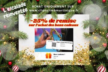 Carte cadeau noël 2025