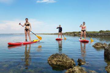 Balade paddle initiation à frontignan