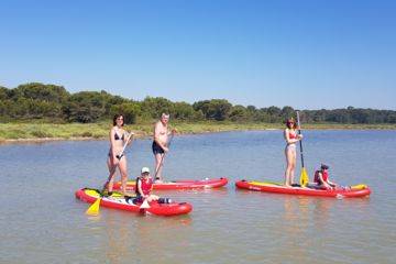 Location stand up paddle à frontignan